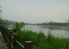 金阳丽景2室2厅东西