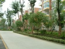金阳丽景3室1厅东南