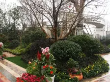 主卧朝南,联排别墅,采光充足,简约风格,交通便利