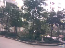 老城 世纪港都花园C区三房33.8万