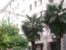 王家宅小区 3室1厅 东 西