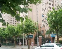 北高大楼2室1厅西南
