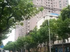 北高大楼 2室1厅 西北