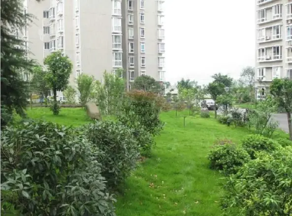 祥瑞水木年华湖上实景图