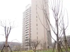 双轨交大平层,独立门户,日月光楼下,急急急