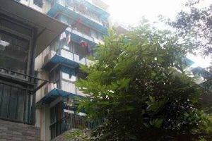 都仕闲庭 2室1厅 东南