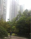 锦城名都2室1厅东北