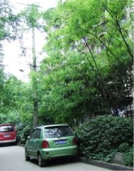 交桂巷8号院2室1厅东南
