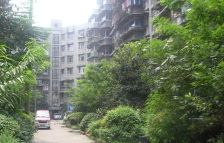 交桂巷8号院2室1厅西北