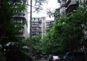 交桂巷8号院3室1厅南
