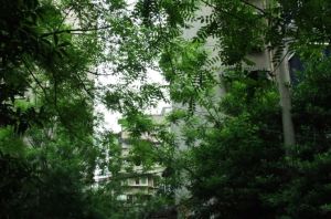 交桂一巷11号1室1厅南