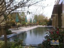 电梯房,主卧朝南,环境优美,精装修,诚意出售