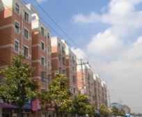 花木新出飞机三房买一层送一层7/18边上近龙阳路