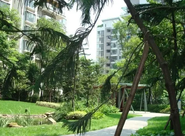 实景图