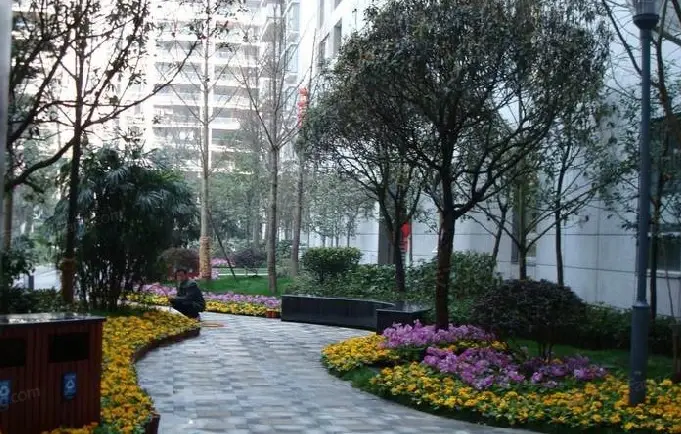 实景图