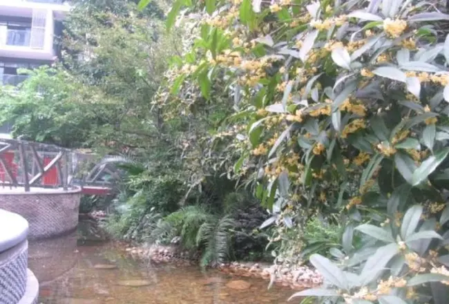 优品道二期实景图