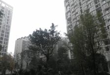 优品道四期曦岸 4室2厅 南