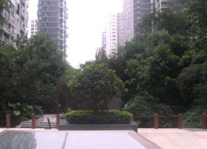 优品道四期曦岸7室2厅南