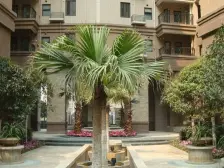 中海龙湾半岛 3室1厅 南