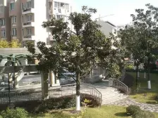 内环内地段成熟,位置安静,大两房 楼层佳视野好 业主诚心出售