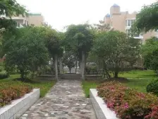 新出电梯小洋房内环内商品房房东诚心卖价格可谈。