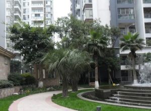 金林俊景3室1厅东南西北
