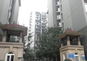 金林俊景2室1厅西