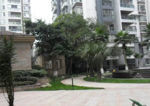 金林俊景 3室1厅 西