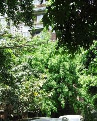 经华北路16号 2室1厅 东南