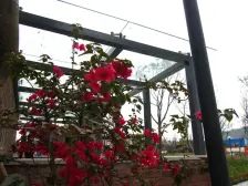 朵力正规两房 视野开阔 户型方正 精装业主诚心出售