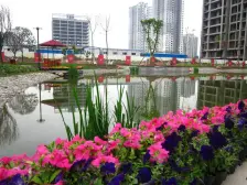 巴国城一室一厅,精装修,外阳台,朝中庭