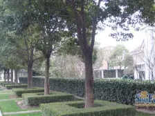 四季雅苑别墅3室南朝向3490.00万元/套出售