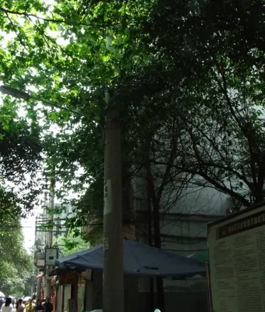 双林中横路53号院实景图