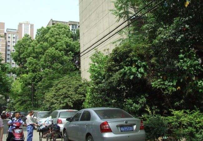 小区相关图