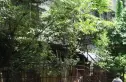 双桥路南五街社区实景图