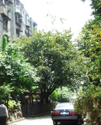双桥路南五街社区实景图