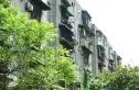 双桥路南五街社区实景图