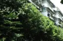 双桥路南五街社区实景图
