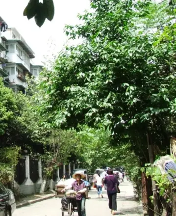 双桥路南五街社区实景图