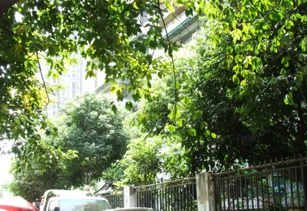 双桥路南五街社区实景图