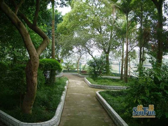 美丽时刻实景图