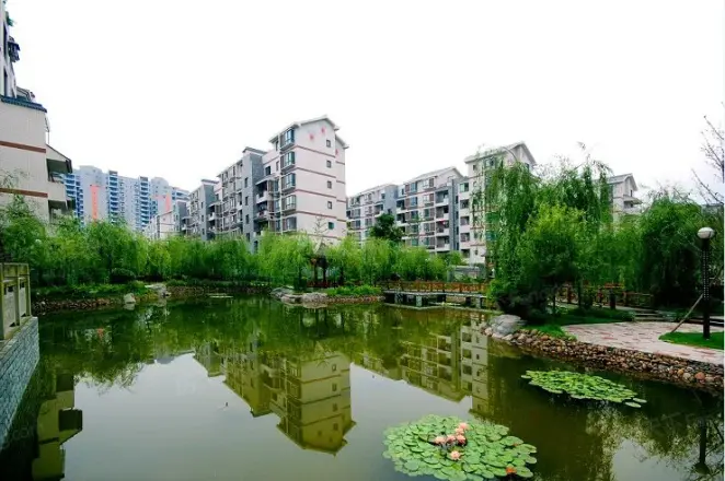 美丽时刻实景图