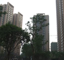 御廷上郡3室2厅北南