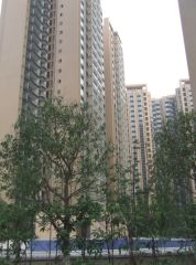 御廷上郡2室1厅北