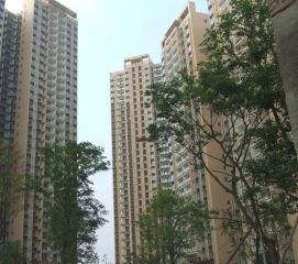 御廷上郡3室2厅南