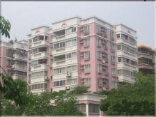 此房正常过户,楼层好,纯南向,采光充足