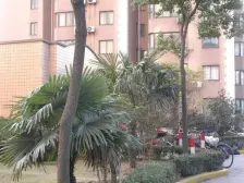 双地铁口 户型方正 高区无遮挡 看陆家嘴四件套