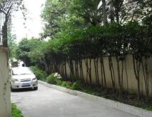 简约风格,一梯两户,主卧朝南,诚意出售,靠近花园
