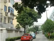 业主诚售,两中好房,低总价,适合刚需