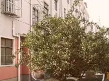 中间楼层小三房,满五加一税少,看房方便,适合刚需